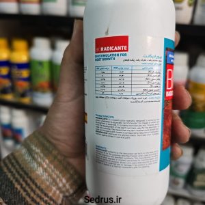 بیورادیکات