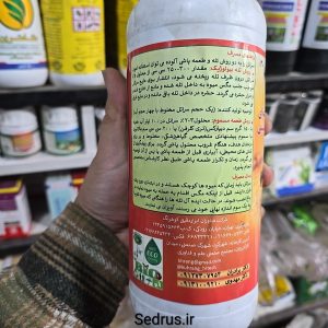 سراتل