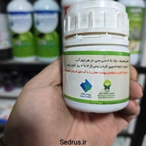 پالیزین