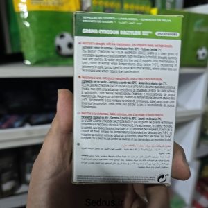 بذر چمن برموداگراس
