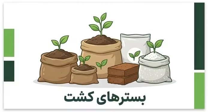 بسترهای کشت