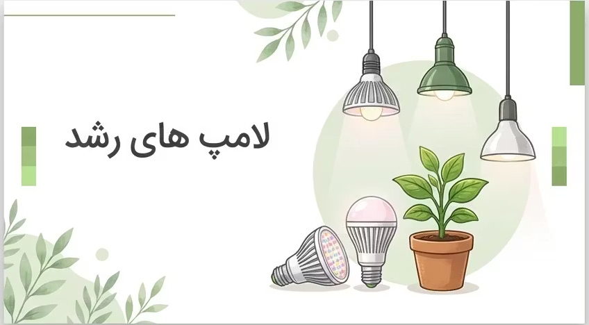 لامپ های رشد