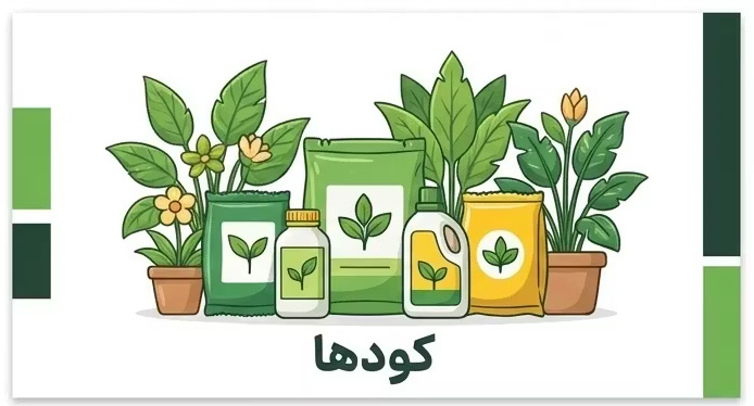 کود